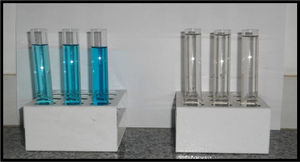 À esquerda estão às soluções de corante a 5ppm e à direita suas respectivas amostras após a aplicação e decantação do biossorvente lavado.