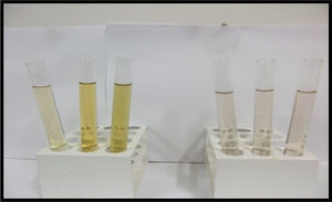 Soluções de azul de metileno da sorção utilizando mesocarpo não lavado (à esquerda) e utilizando mesocarpo lavado (à direita).