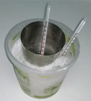 Placement of the thermometers in the cooling bath.