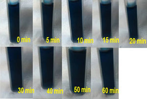 Fotografias do ensaio de adsorção para o efluente real em pH 10.