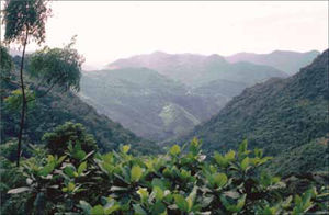 Vista de un paraje en la Huasteca Potosina viajando de Tamazunchale hacia Aguazarca. Autor: Rosa María Bonilla Burgos, archivo de campo, 21 de noviembre de 2003.