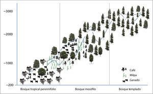 Perfil idealizado que muestra la distribución de los bosques naturales y los principales usos del suelo que se presentan en el gradiente de elevación de las comunidades de estudio.