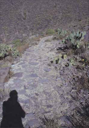 Restos del camino empedrado que comunicaba Real de Catorce con Los Catorce. Autor: Gerónimo Barrera de la Torre, archivo de campo, diciembre 2010.