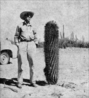 Ángel Bassols Batalla en el desierto de Vizcaíno.