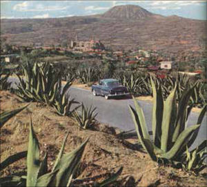 El maguey, el coche, el convento y el volcán (Teuhtli).