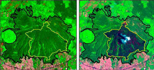 Cerro de la Cruz before (left) and after (right) the wildire. he forest area of Cerro de la Cruz is marked in black and the area afected by ire in yellow. Composite 12-8-2 of the Sentinel-2 image, highlighting the vegetation cover in green; areas afected by wildire in black and urban infrastructure in white-purple.
