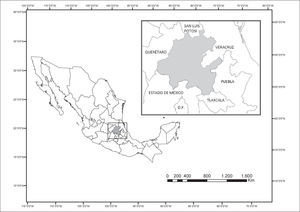 Localización del estado de Hidalgo (en gris) en la República Mexicana.