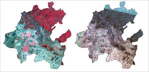 Compuestos en falso color (RGB:432) del mosaico de imágenes Landsat año 2000 (izquierda) y año 2014 (derecha) para el estado de Hidalgo. Escala 1: 2 500 000.