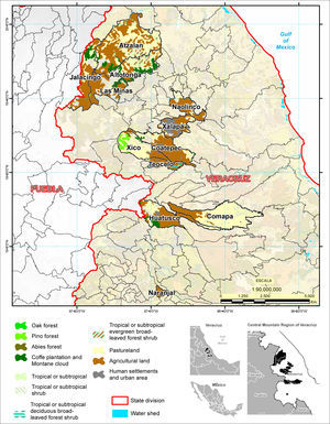 Study area, vegetation types and municipalities studied of the central mountain region of Veracruz (This map was built with data from inegi, 2013).