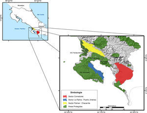 Mapa de divisiones agrícolas de estudio especificados por sector Corredores, Sector La Palma-Puerto Jiménez y Palmar-Chacarita en la parte baja de la región Pacífico Sur de Costa Rica.