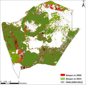Mapa de la pérdida de cubierta forestal del 2006 al 2014, con los polígonos de psah, y gráfica complementaria. Deforestation 2006-2014 vs. territories phes.