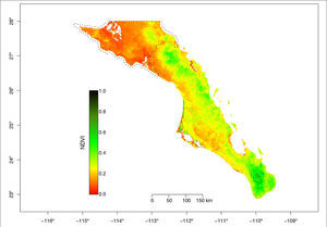 Promedio del NDVI 2001-2015 para cada pixel de 250 x 250 m. Se muestran los polígonos (líneas punteadas) de la Reserva de la Biosfera del Vizcaíno en el norte y la Reserva de la Biosfera Sierra La Laguna en la porción sur.