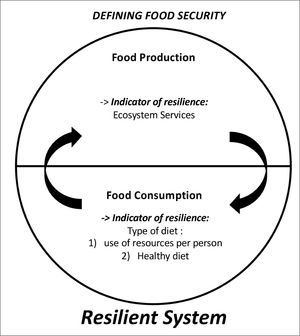 Definition of food security used in this paper. Food Security has to include both food production and food consumption, and by definition both of these have to be resilient not to compromise food production and availability for future generations. See text for details.
