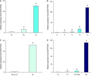 A. Expresión de MMP-9 ARNm en células de sangre periférica de pacientes con cáncer vesical de diferente grado histológico. B. Clasificación clínica T. C. Estado metastático. D. estadio tumoral. Los resultados se expresan como niveles de expresión relativos (unidades arbitrarias) contra muestra de referencia (*p<0,05).