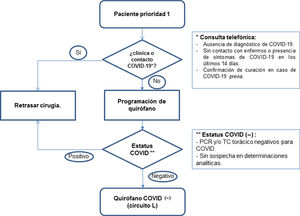 Resumen del plan asistencial.