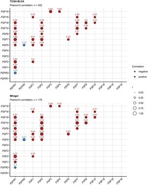Correlación de los niveles de ARNm en los genes que codifican FGF y FGFR. Se investigó la correlación por pares de los niveles de ARNm transformados log2 de los genes que codifican FGF y FGFR en las cohortes TCGA BLCA e IMvigor mediante la prueba de Pearson ajustada a la tasa de descubrimiento falso. Los coeficientes de correlación r para pares de genes significativos se representan en gráficos de burbujas. El color de los puntos indica la correlación. El tamaño de los puntos representa los valores absolutos de r. Los números de las muestras de cáncer analizadas se muestran en los pies de los gráficos.