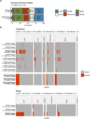 Alteraciones de los genes que codifican FGF y FGFR, según el consenso de clases moleculares del cáncer urotelial. Las diferencias en la frecuencia de mutaciones somáticas y variaciones en el número de copias de los genes que codifican FGF y FGFR entre las clases moleculares establecidas por consenso se evaluaron mediante la prueba del tamaño del efecto estadístico V de Cramer. Los valores de p se corrigieron para comparaciones múltiples mediante la tasa de descubrimiento falso. Nota: la información sobre variaciones en el número de copias no estaba disponible para la cohorte IMvigor. A) Los porcentajes de muestras de cáncer en las clases moleculares establecidas por consenso se visualizan en el gráfico. La significación estadística de la diferencia en la distribución de clases entre las cohortes se evaluó mediante la prueba estadística del tamaño del efecto V de Cramer. El tamaño del efecto y el valor p se muestran en el título del gráfico. El número total de muestras de cáncer se indica en el eje Y. B) Presencia/ausencia de alteraciones genéticas seleccionadas en las clases moleculares establecidas por consenso visualizadas en mapas de calor. En el eje Y se indican los nombres de las alteraciones con el tamaño del efecto y los valores p de las diferencias entre las clases moleculares. Los efectos significativos están resaltados en negrita. Los números de muestras de cáncer en las clases consensuadas se muestran en los títulos de los gráficos. Ba/Sq: basal/escamoso; LumNS: luminal no especificado; LumP: luminal papilar; LumU: luminal inestable; NE-like: neuroendocrino; Stroma-rich: rico en estroma.