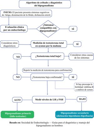 Algoritmo diagnóstico para las secuelas endocrinas tras un cáncer testicular.