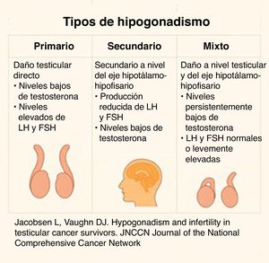 Tipos de hipogonadismo. Fuente: Jacobs LA, Vaughn DJ13.