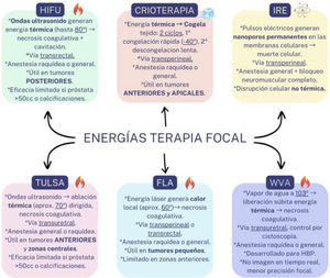 Principales fuentes de energía utilizadas en terapia focal para el tratamiento del cáncer de próstata localizado. Cada modalidad difiere en su mecanismo de acción (térmico vs. no térmico), vía de abordaje, requisitos anestésicos y localización tumoral preferente. FLA: focal laser ablation; HBP: hiperplasia benigna de próstata; HIFU: high-intensity focused ultrasound; IRE: irreversible electroporation; TULSA: transurethral ultrasound ablation; WVA: water vapor ablation.