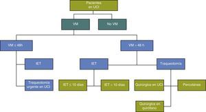 Protocolo de actuación sobre la vía aérea artificial en pacientes críticos sometidos a ventilación mecánica. IET: intubación endotraqueal; VM: ventilación mecánica.