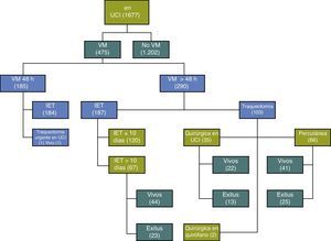 Distribución de los pacientes según el protocolo de actuación sobre la vía aérea artificial. IET: intubación endotraqueal; VM: ventilación mecánica.