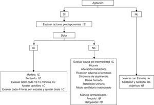 Algoritmo para la sedación y analgesia de los pacientes sin intubación traqueal.