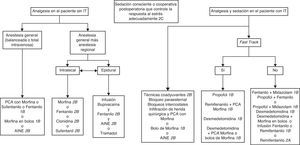 Algoritmo de analgesia y sedación en los pacientes de postoperatorio de cirugía cardiovascular. AINE: antiinflamatorios no esteroideos; IT: intubación traqueal; PCA: analgesia controlada por el paciente.