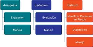 Dominios del «bundle» para el manejo de la analgesia, sedación y delirium.