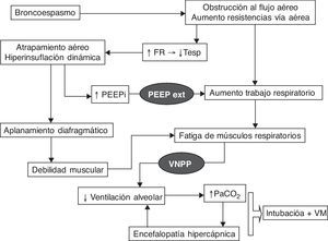 Fisiopatología de la insuficiencia respiratoria aguda hipercápnica en la EPOC y los procesos que quedan bloqueados por la acción de la ventilación mecánica (representada en negro). FR: frecuencia respiratoria; PEEPext: presión positiva al final de la espiración programada por el respirador; PEEPi: PEEP intrínseca; Tesp: tiempo espiratorio; VM: ventilación mecánica; VNPP: ventilación no invasiva con soporte inspiratorio.