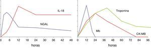 Esquema del curso temporal de 2 biomarcadores de daño renal agudo (NGAL e IL-18) en comparación con los cambios en el tiempo de biomarcadores conocidos de daño miocárdico.