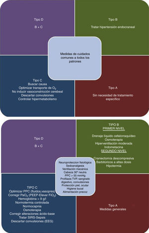 Enfoque de tratamiento del traumatismo craneoencefálico grave según el patrón fisiopatológico. EEG: electroencefalograma; FiO2: fracción inspirada de oxígeno; g: gramo; PaO2: presión arterial de oxígeno; PEEP: presión positiva al final de la espiración; PPC: presión de perfusión cerebral: SIRS: síndrome de respuesta inflamatoria sistémica; TVP: trombosis venosa profunda.