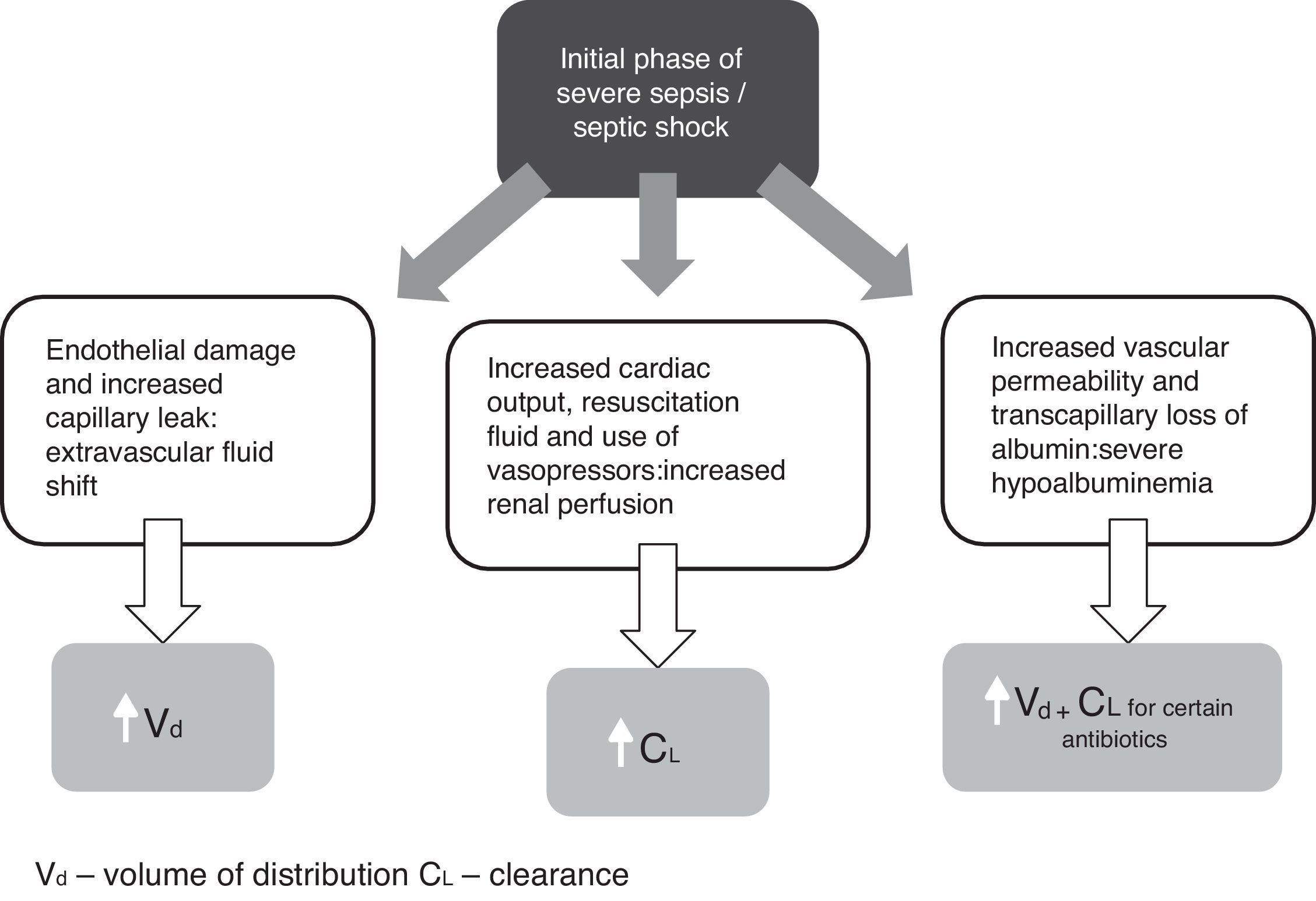 Antibiotic dose optimization in critically ill patients | Medicina ...