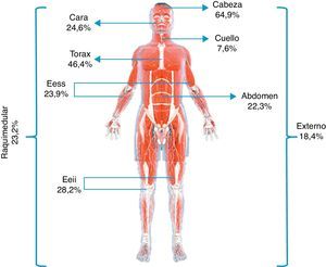 Porcentaje de lesiones codificadas de acuerdo con las diferentes áreas descritas según la Abbreviated Injury Scale.