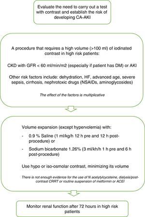 Recommendations for CA-AKI prevention. Modified from ref. 51. CA-AKI: contrast associated acute kidney injury; CKD: chronic kidney disease; GFR: glomerular filtration rate; DM: diabetes mellitus; HF: heart failure; NSAIDs: non steroidal antiinflammatory drugs; CRRT: continuous renal replacement therapy; AECI: angiotensin converting enzyme inhibitors.