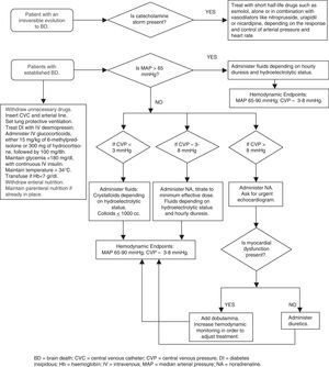 Recommended algorithm for treating the brain-dead organ donor. BD, brain death; CVC, central venous catheter; CVP, central venous pressure; DI, diabetes insipidous; Hb, hemoglobin; IV, intravenous; MAP, median arterial pressure; NA, noradrenaline.