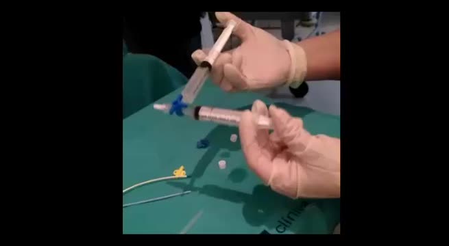 https://ars.els-cdn.com/content/image/1-s2.0-S021056911830278X-mmc1.mp4