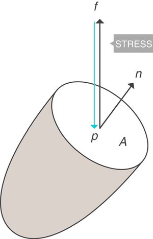 Stress=presión. Fuente: reproducida con permiso de Modesto-Alapont V, et al.5.