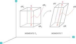Strain=deformación (volumen corriente/capacidad residual funcional). Fuente: reproducida con permiso de Modesto-Alapont V, et al.5.
