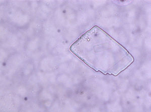 Figura 3