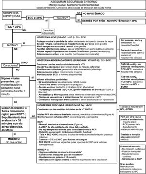 Algoritmo de decisión para la gestión de la hipotermia accidental prehospitalaria11,18-19. a HT II (somnolencia)/HT III (inconsciencia). b Decapitación, sección completa del tronco, descomposición o cuerpo totalmente congelado (HT V). ECMO: oxigenación con membrana extracorpórea; HT: hipotermia; PCR: parada cardiorrespiratoria; RCP: reanimación cardiopulmonar; UCI: unidad de cuidados intensivos.