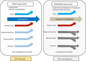 Concept of hemodynamic coherence in septic shock.