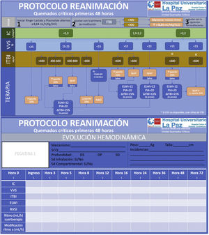 Protocolo de fluidoterapia en el paciente con quemaduras superiores al 20% de superficie corporal quemada. Dp: quemadura dérmica profunda; Ds: quemadura dérmica superficial; ELWI: Extravascular Lung Water Index; IC: índice cardiaco; ITBI: Intratoracic Blood Index; PAM: presión arterial media; PIA: presión intraabdominal; RVSI: resistencias vasculares sistémicas indexadas; SCQ: superficie corporal quemada; SD: quemadura subdérmica; VVS: variación de volumen sistólico.