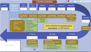 Cronograma de tratamiento para el paciente quemado crítico. EKG: electrocardiograma; FBC fibrobroncoscopia; HPBPM: heparina de bajo peso molecular; NAD: noradrenalina; SCQ: superficie corporal quemada.