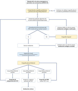 Manejo de la vía aérea emergente en pacientes con coronavirus. Algoritmo de manejo de la vía aérea emergente en pacientes con coronavirus, mediante un abordaje integral que incluye la inspección visual y la aplicación de la ecografía. Antes de iniciar la intubación, es necesario asegurar la presencia de lung sliding bilateral. Tras la comprobación preliminar, se iniciará la IOT aplicando el algoritmo de vía aérea difícil de cada centro, siendo recomendable utilizar la videolaringoscopia como primer dispositivo. La visualización directa del paso del TOT a través de las cuerdas vocales permite iniciar la ventilación, proceder a identificar signos visuales de una adecuada intubación y ajustar la posición del TOT mediante ecografía pleural bilateral. La no visualización del paso del TOT a través de las cuerdas vocales obliga a excluir la posibilidad de intubación esofágica antes de iniciar la ventilación, con la finalidad de evitar aspiración bronquial de contenido gástrico.