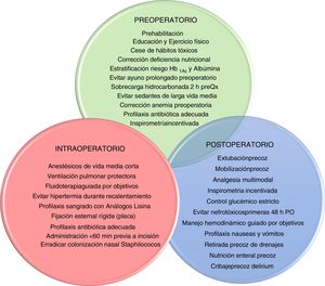 Distintas etapas perioperatorias de las recomendaciones. PO: postoperatorio; preQx: prequirúrgico.