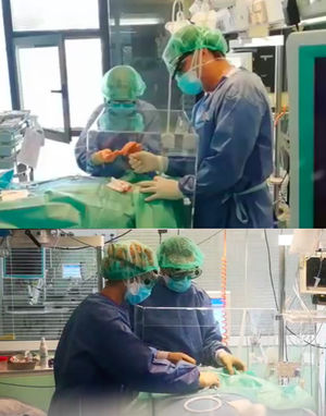 1. Utilización de la caja protectora durante la realización de una traqueotomía a un paciente COVID.