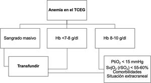 Esquema de evaluación de la necesidad transfusional en el traumatismo cráneo-encefálico grave (TCEG). dl: decilitro; g: gramo; Hb: hemoglobina; PtiO2: presión tisular de oxigenación cerebral; rSO2: saturación regional de oxigenación cerebral.