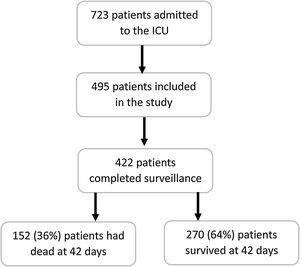 Flowchart of the study participants.