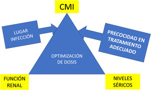Variables implicadas en la curación clínica de infecciones graves causadas por bacilos gram-negativos multi-resistentes.